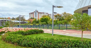 Профессиональное озеленение улиц в Похвистневе в октябре