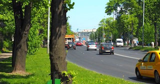Посадка деревьев и кустарников в Похвистневе — стоимость от 1230 руб.